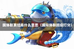 国体联赛结局什么意思（国际体联回应打分）