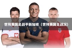 世预赛国足战平新加坡（世预赛国足战况）