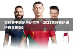 世预赛中国绝杀伊拉克（2022世预赛伊朗伊拉克视频）