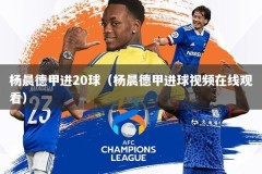 杨晨德甲进20球（杨晨德甲进球视频在线观看）