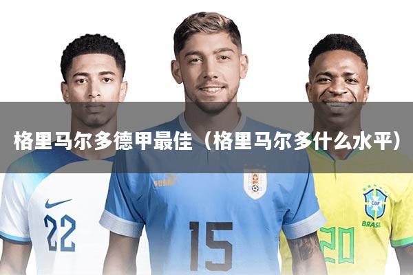 格里马尔多德甲最佳(格里马尔多什么水平)