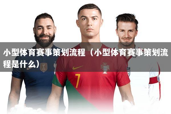 小型体育赛事策划流程(小型体育赛事策划流程是什么)